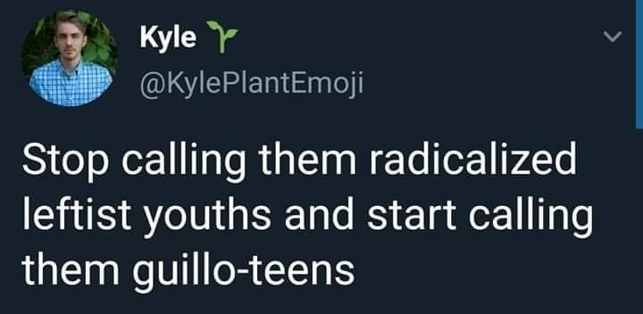 *** I WAS A GUILLO TEEN