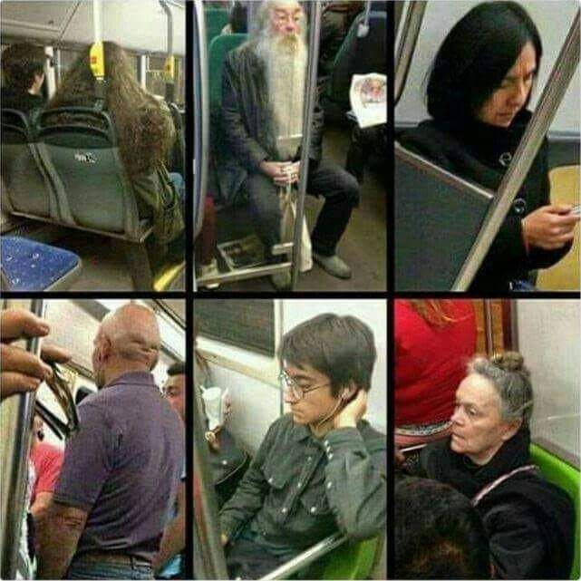 This train is gong to hogwarts