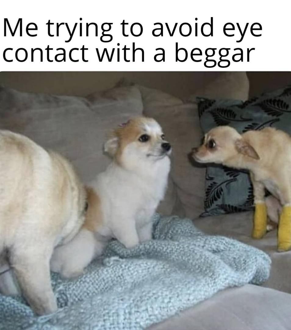 Don't make eye contact