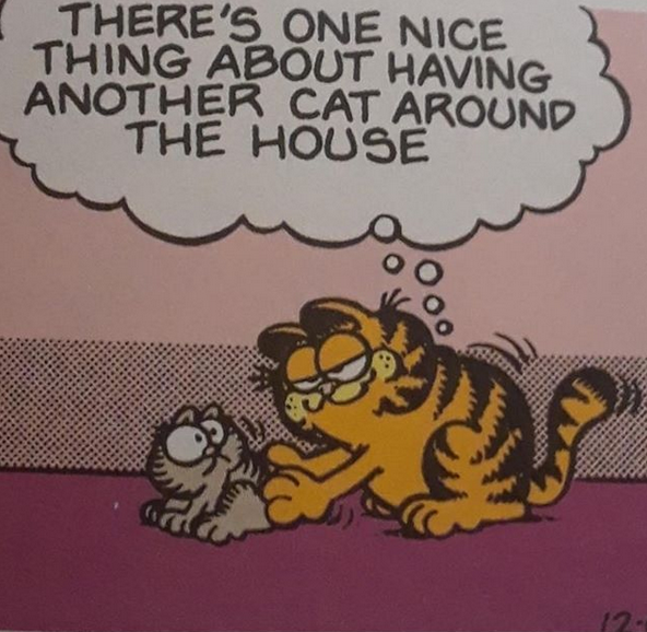 Garfield NO.
