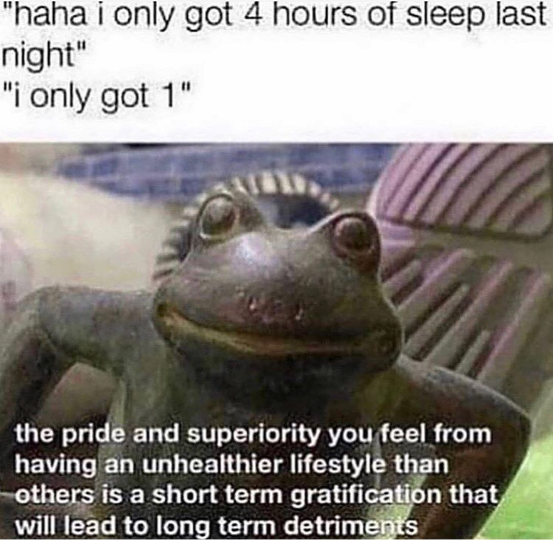 ‍ ‍ ‍ ‍ ‍