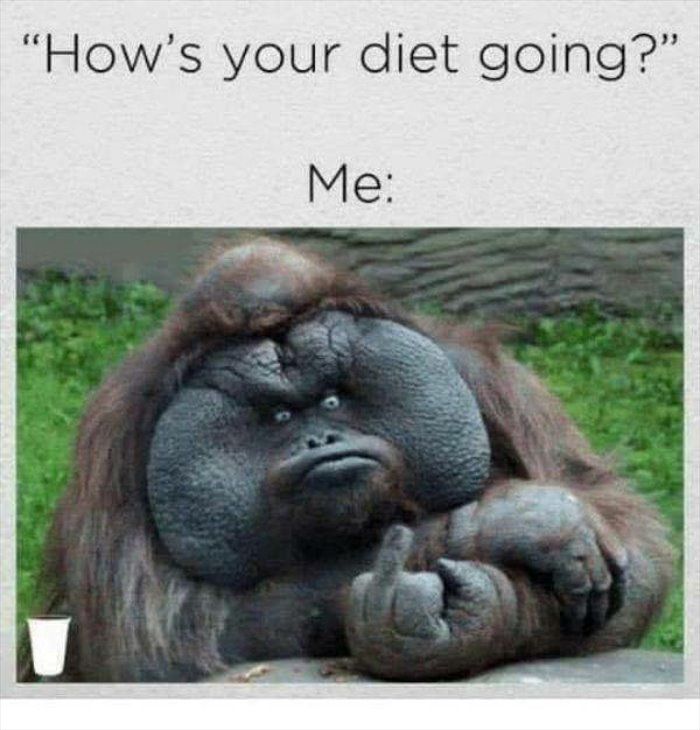 Hows your diet going!?