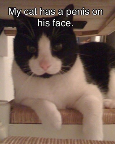 I laughed at this way longer than I should have...