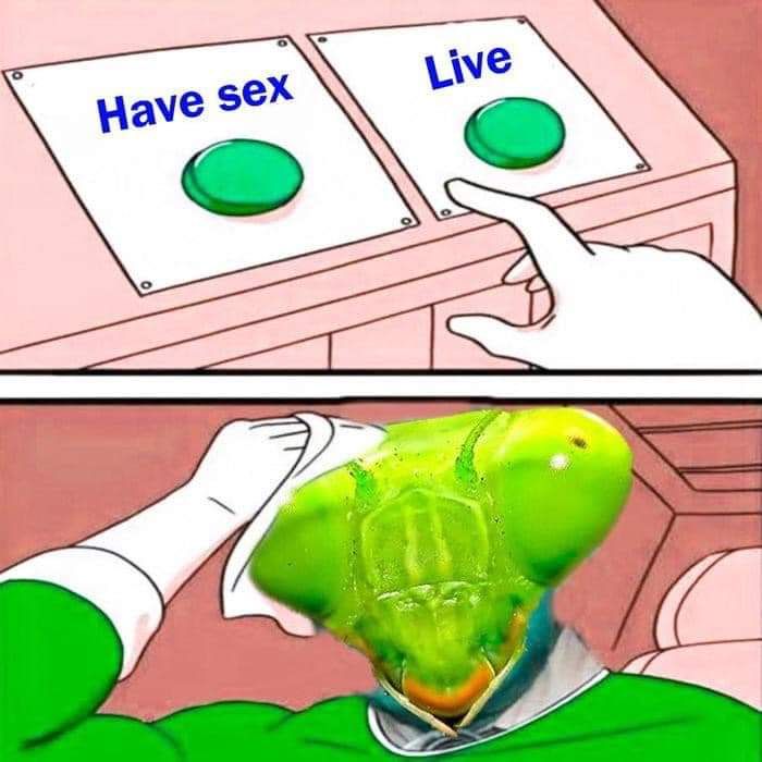 We all die sometime, might as well get laid