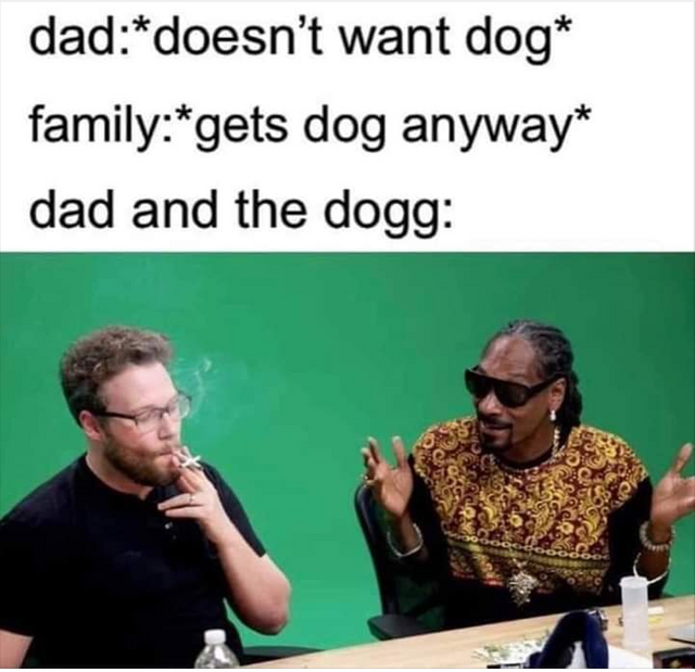Smoke weed every day
