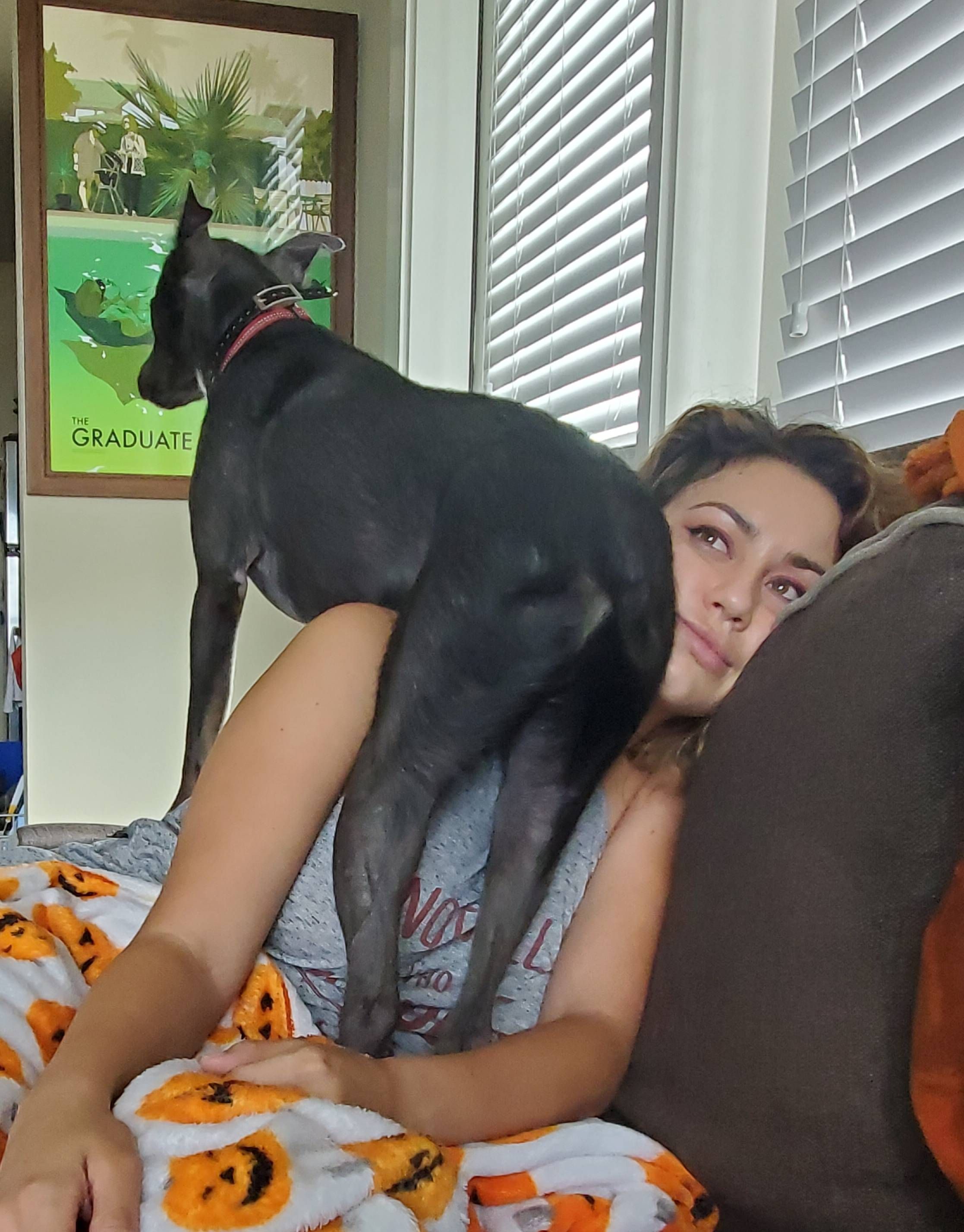 My roommates dog has no sense of personal space