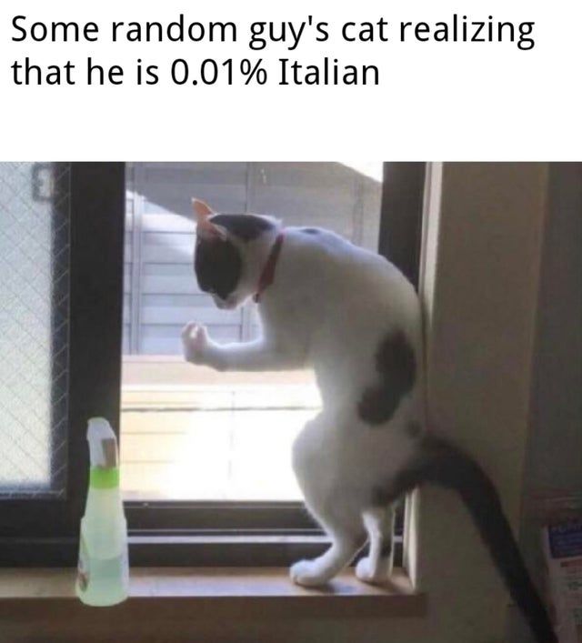italian dudder