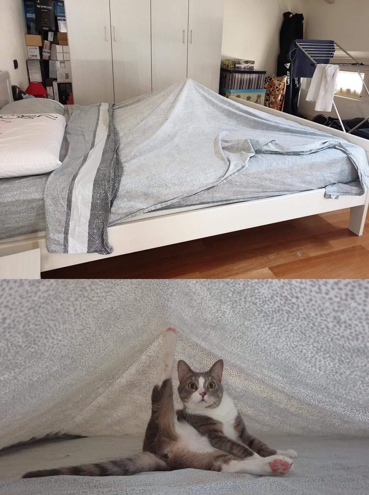 Pitching a tent