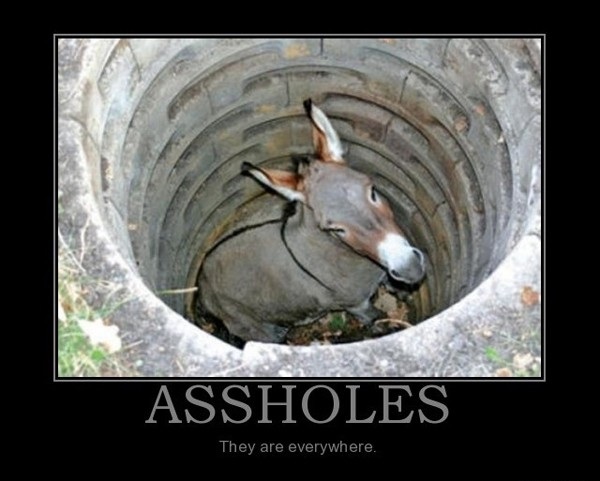 They sure are