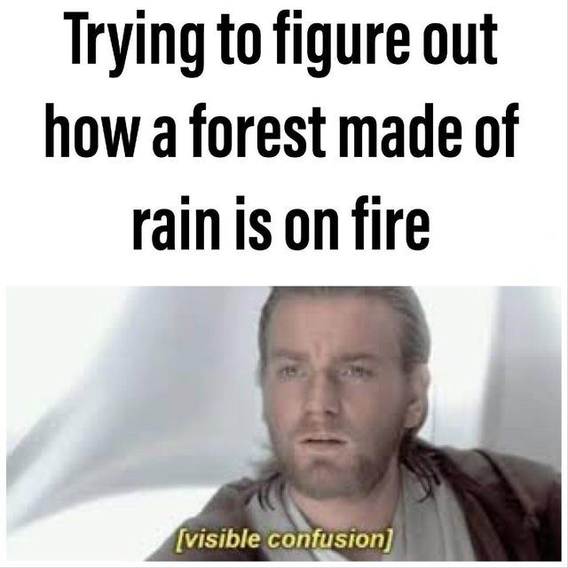 Rainforest