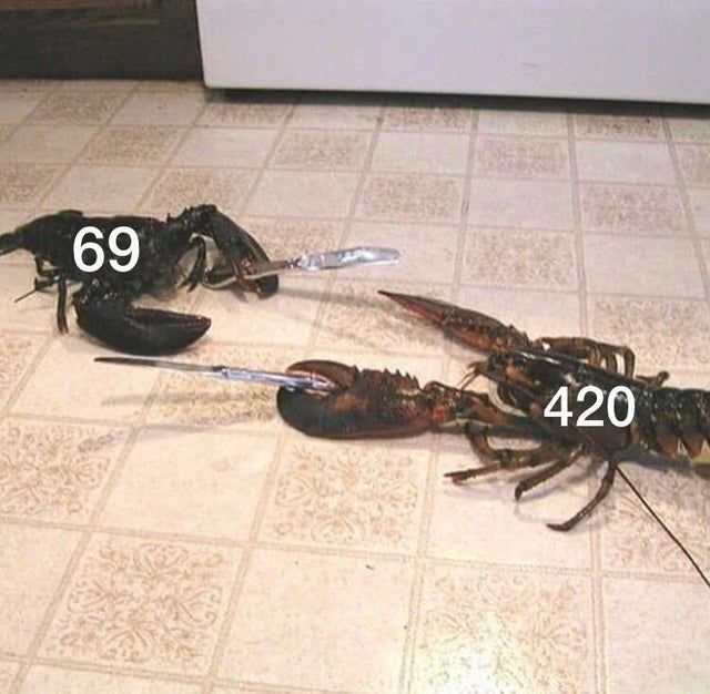 Nice vs Nice