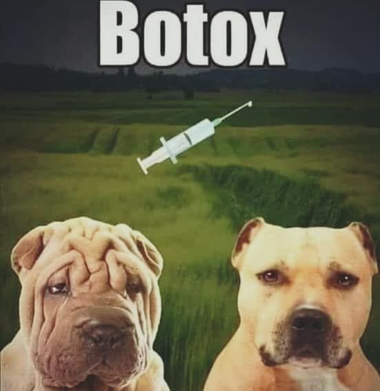 Botox time !