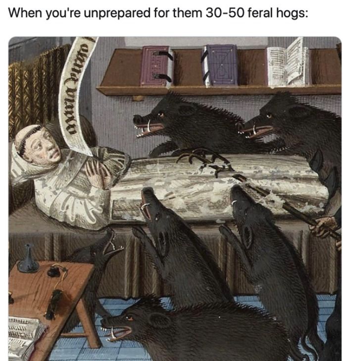 AR-15
