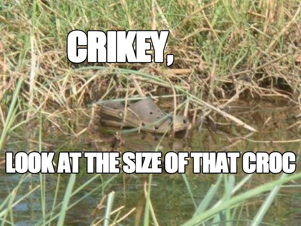 This made me laugh, and then miss Steve Irwin.