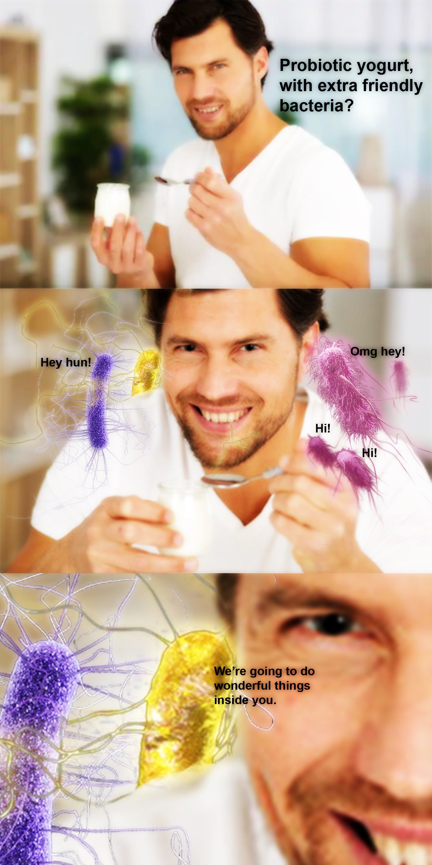 Friendly bacteria
