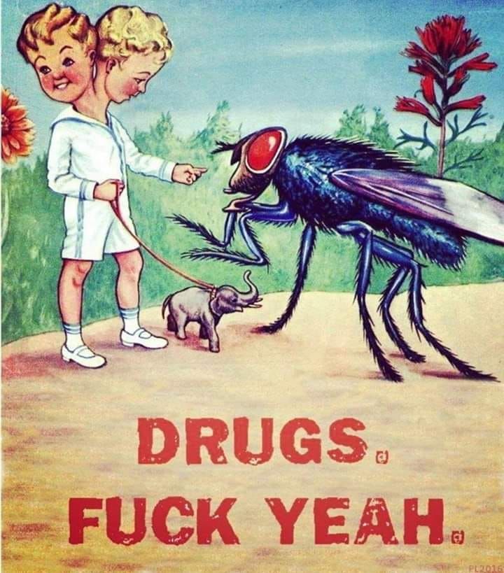 DO DRUGS