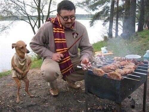 Doggy likes a good BBQ