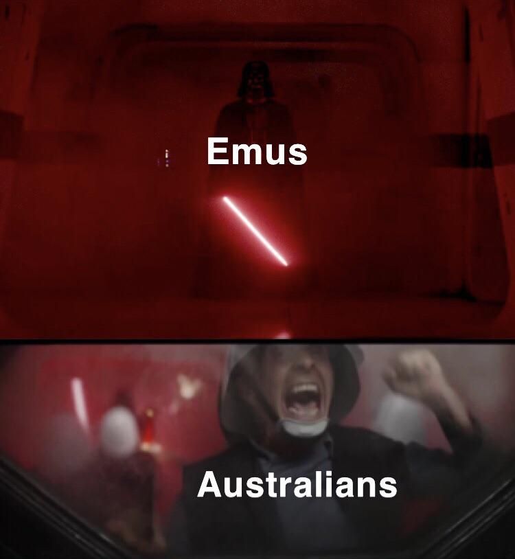 *generic Emu title*
