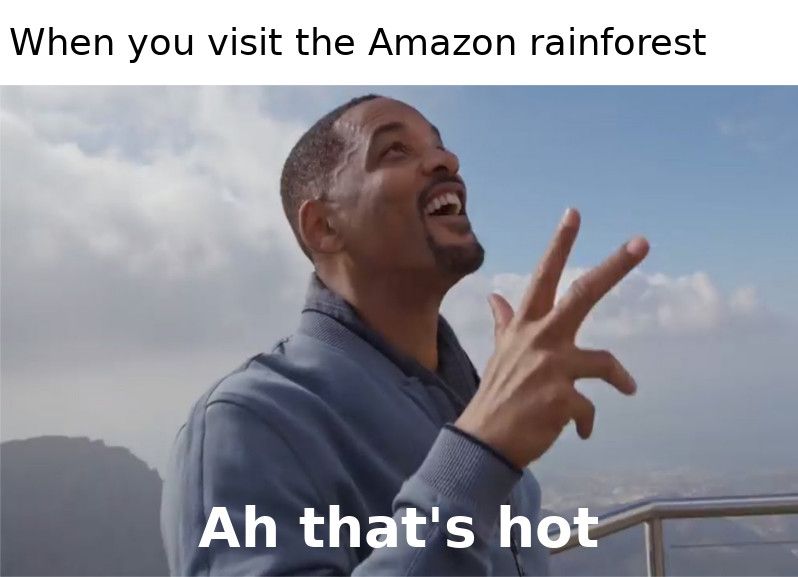 Amazon memes are still hot, right? Pun intended