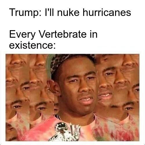 Toddler in chief