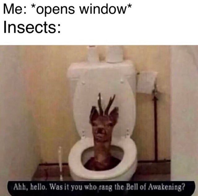 Free real estate