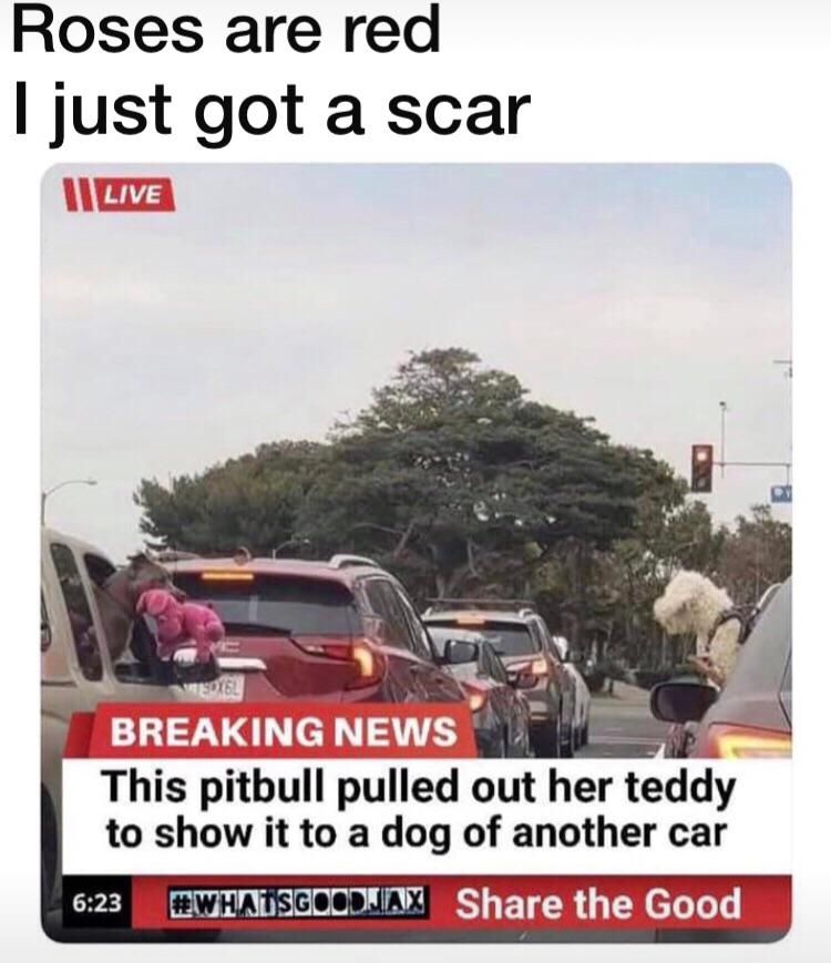 Wholesome