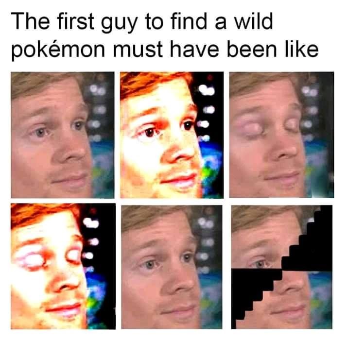 zubats in mount moon