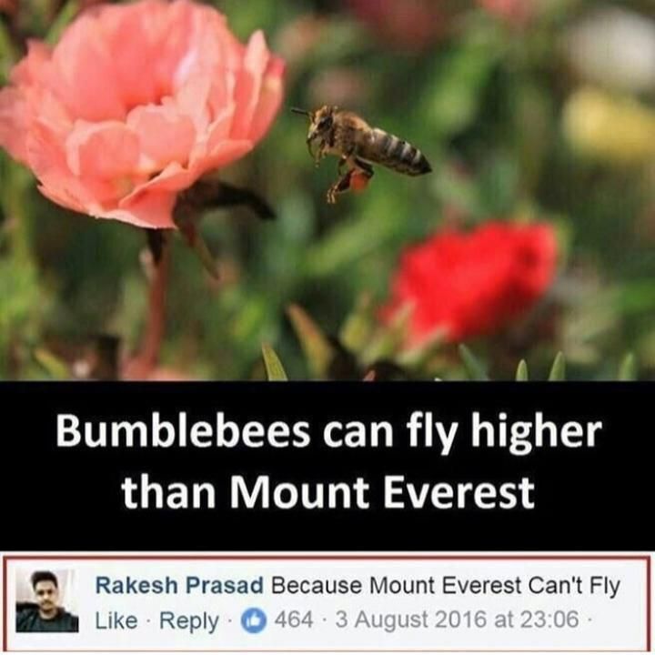 Mount Everest Can’t Fly?