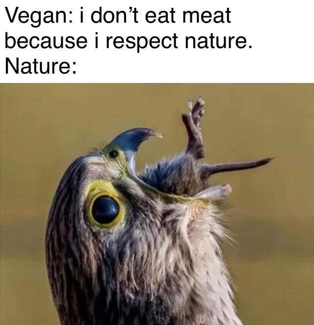 I reject you nature