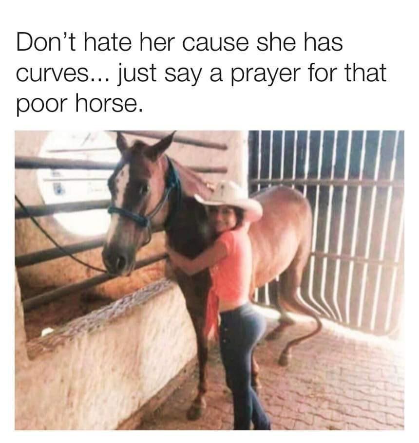 Pray for the horse