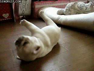Help! I've fallen and i can't get up.