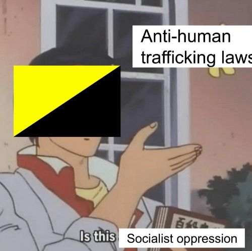 Ancap stupid and bad
