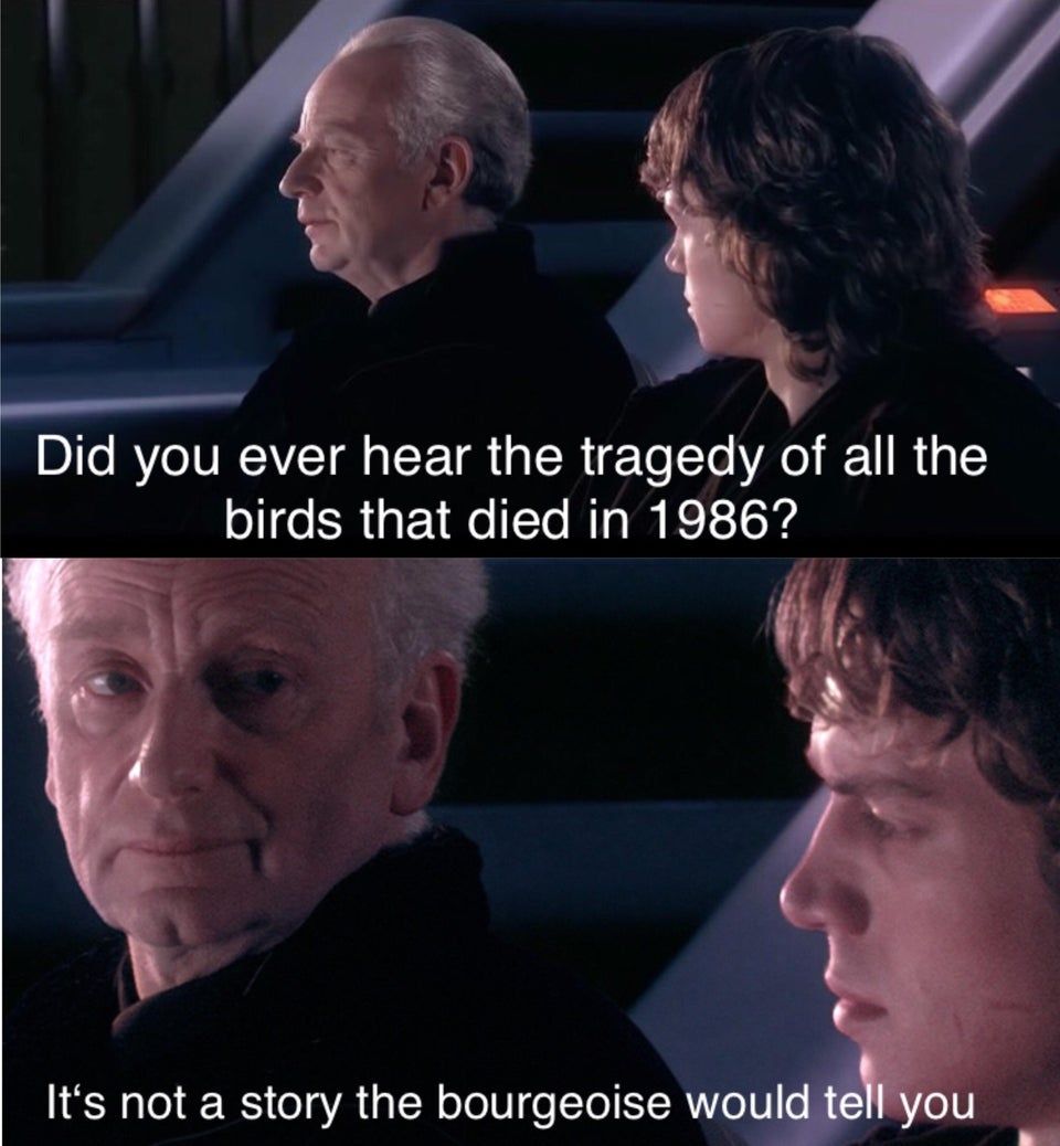 There are no birds anymore