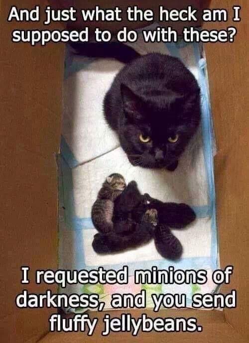 Give me minions!