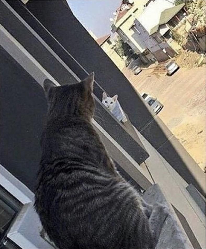 Long distance relationship.