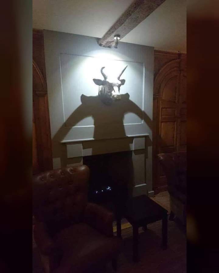 Being killed and mounted could never stop skull cow
