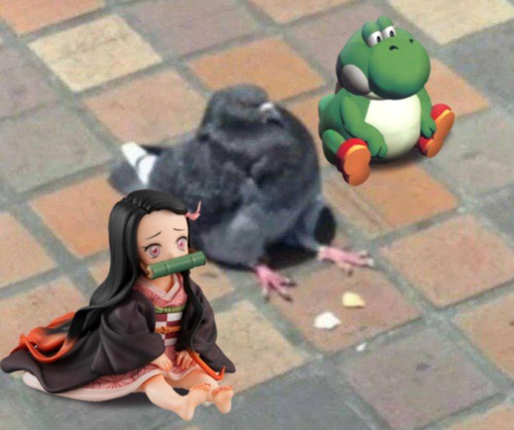 B L E S S E D I M A G E
