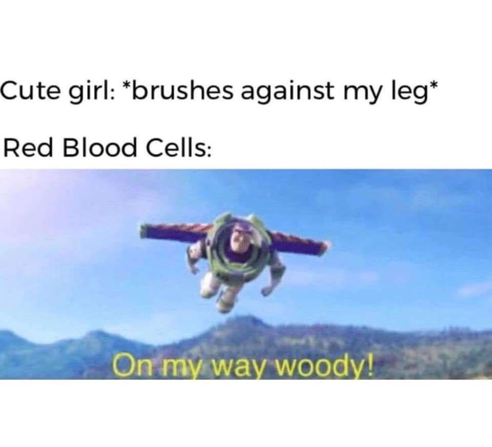 Relatable