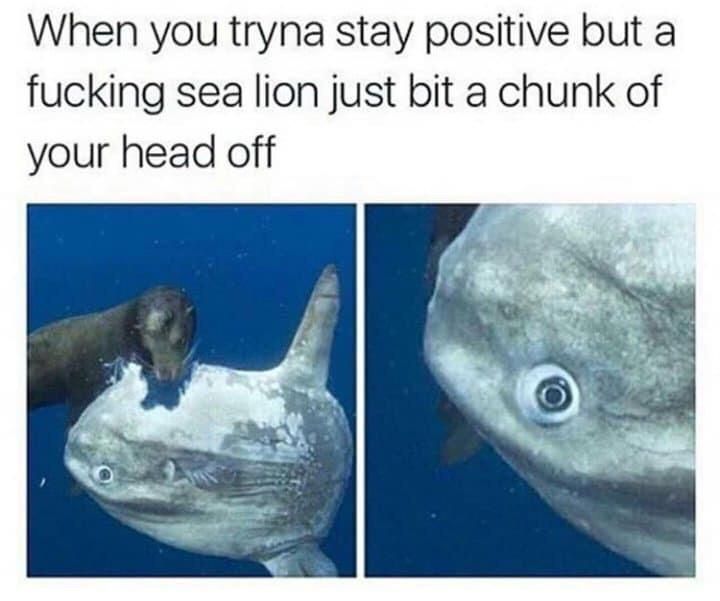 Relatable
