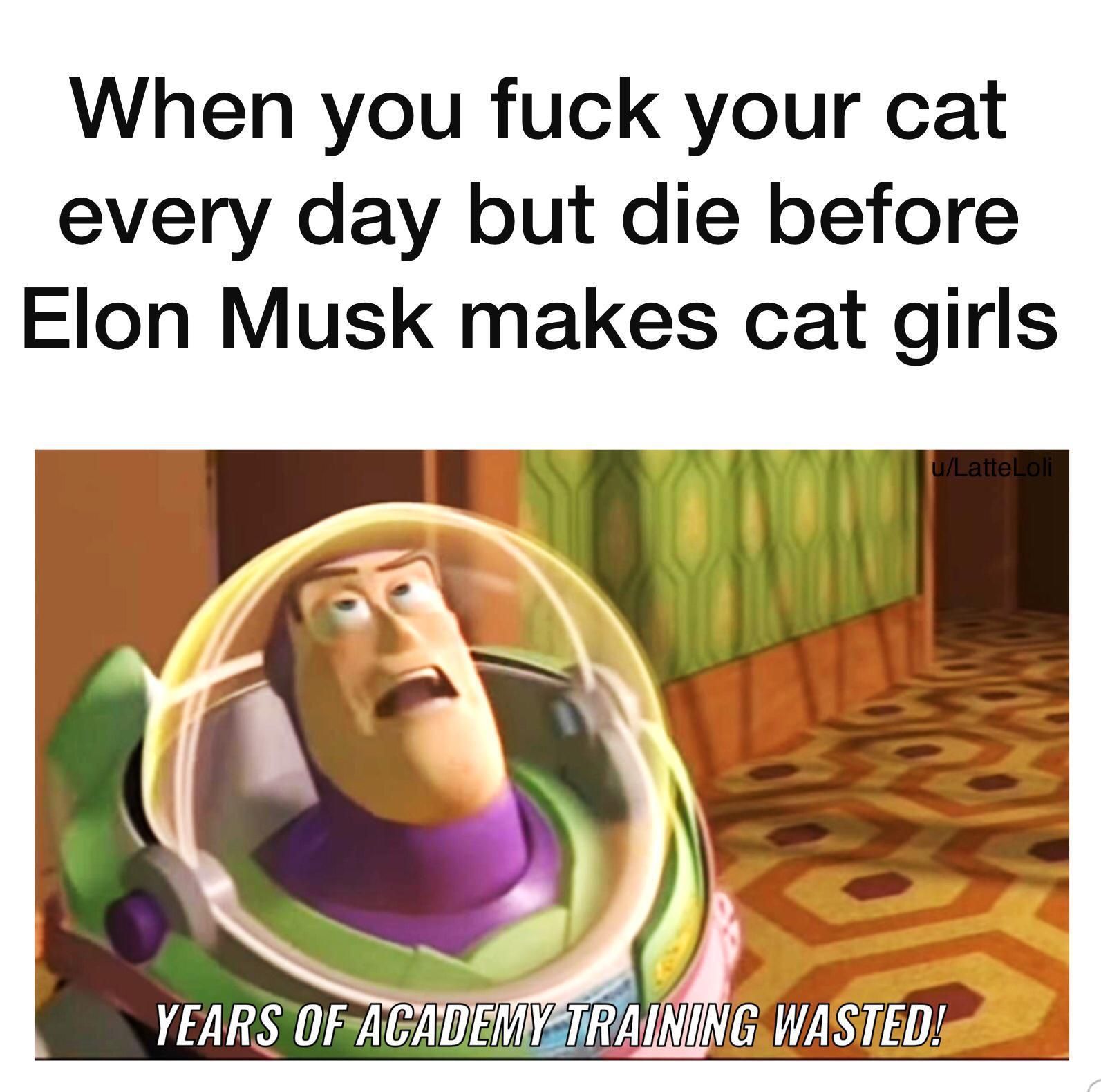 Elon pls hurry up