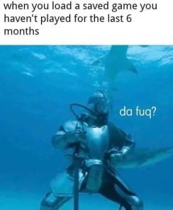 da fuq?