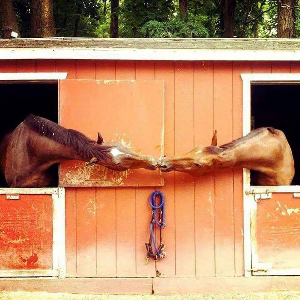 A stable relationship