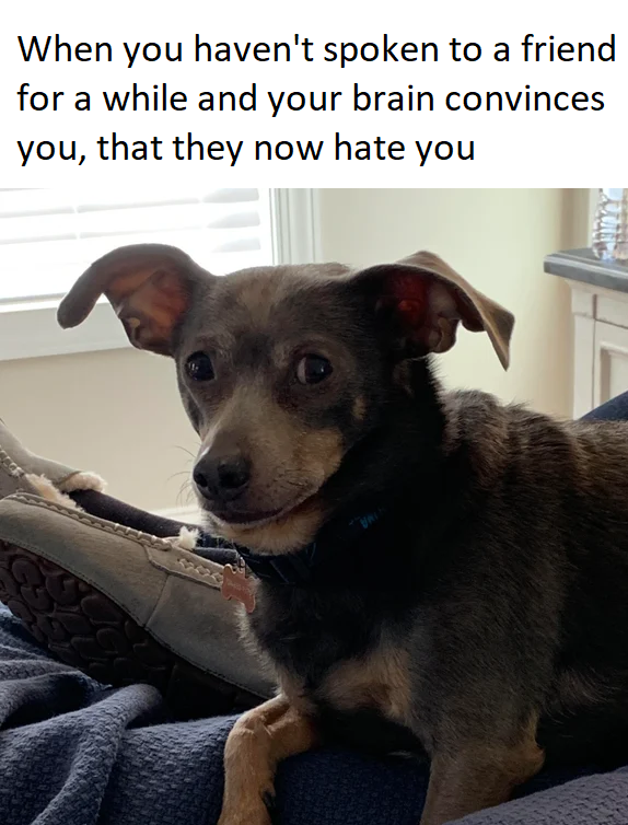 Good news, Tacos doesn't hate me after all