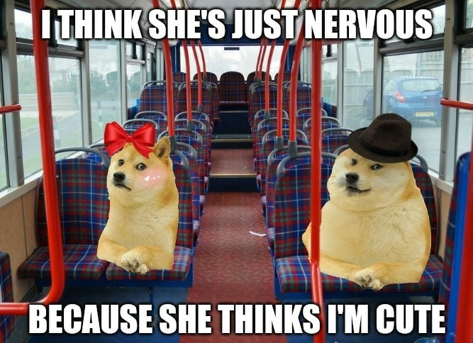 Perfectly plausible