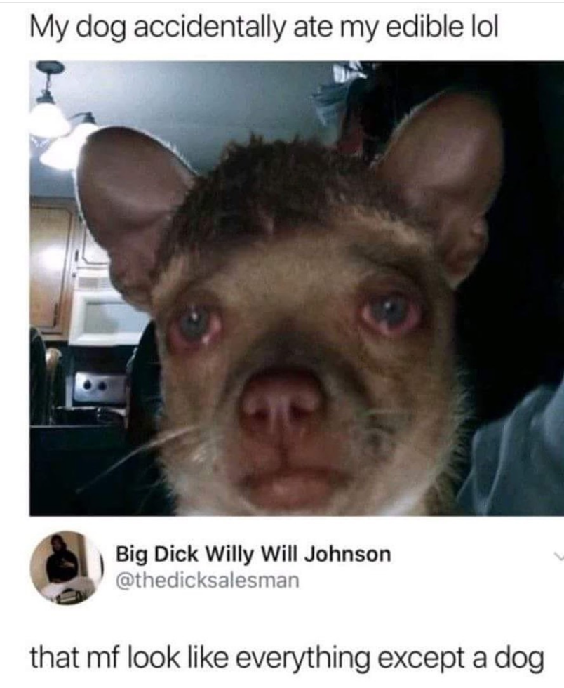 He's fine