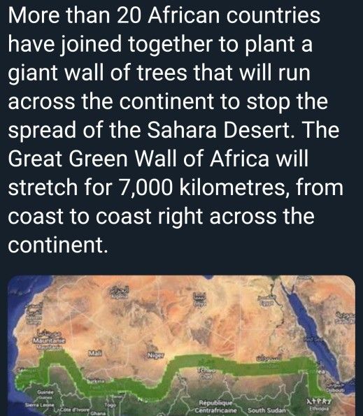 MAGA, Make Africa Great Again