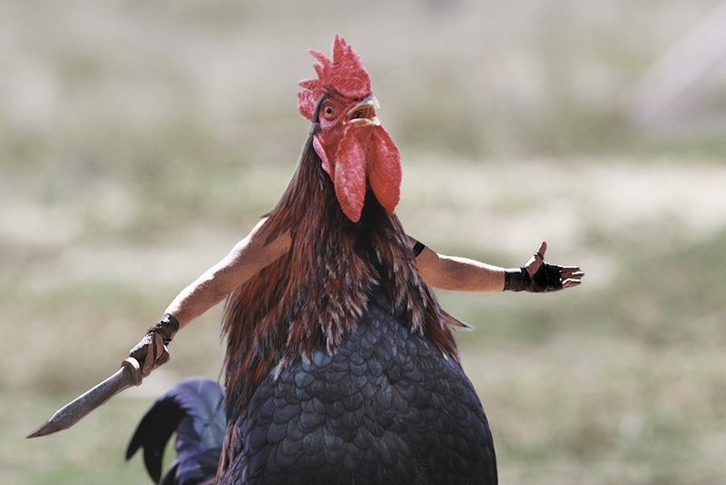 When you beat the human in tic-tac-toe and all he does is get mad