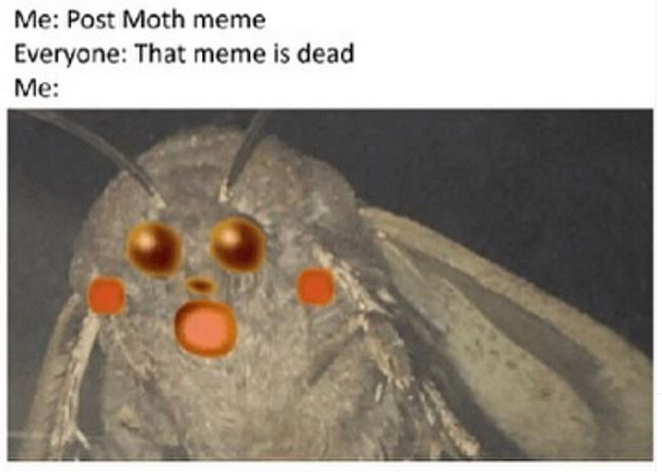 How could this be.
