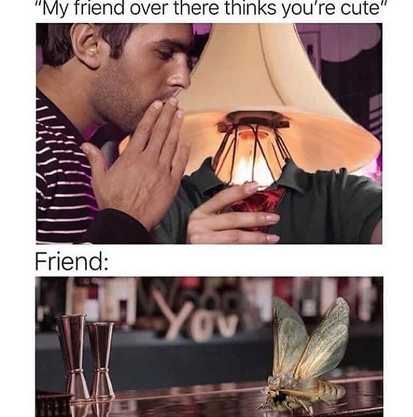 Cute.