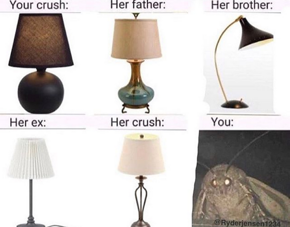 Lamptical.